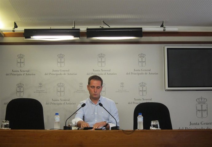 El diputado autonómico del PP en Asturias David González Medina.