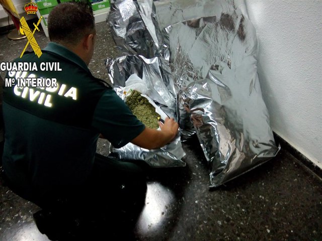 Intervenidos 15 kilos de marihuana en un camión en el peaje de Sagunto