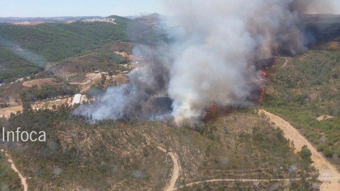 Foto del nuevo incendio declarado en Nerva