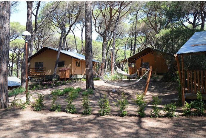 Imagen del camping dentro de Doñana