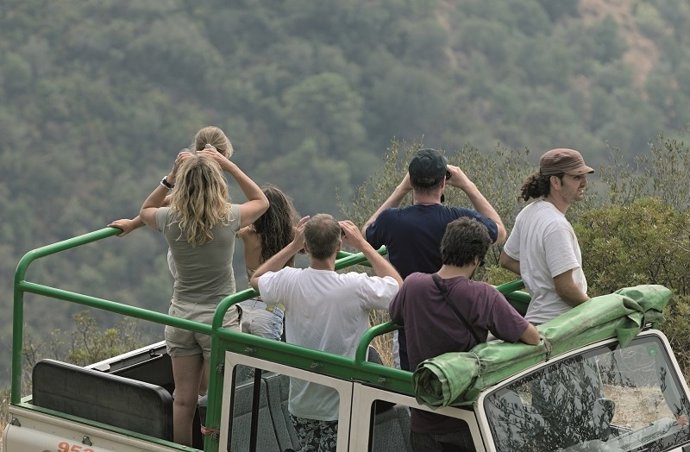 Avistamiento de aves a través de prismáticos desde un jeep.