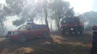 Extinguido el incendio de Zuera, que ha calcinado 114 hectáreas