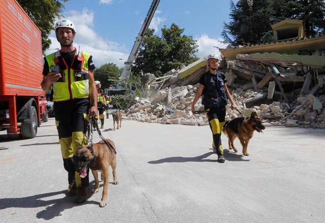 Perros rastreadores en terremoto de Italia
