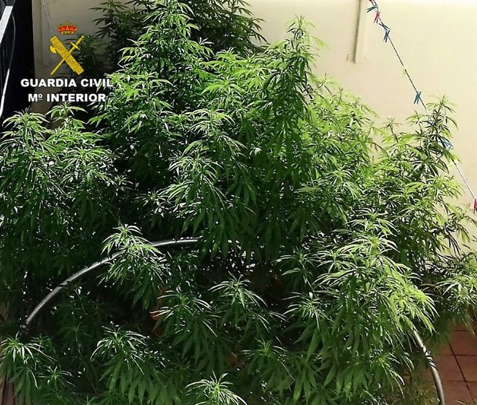 Rtdo. Nota De Prensa