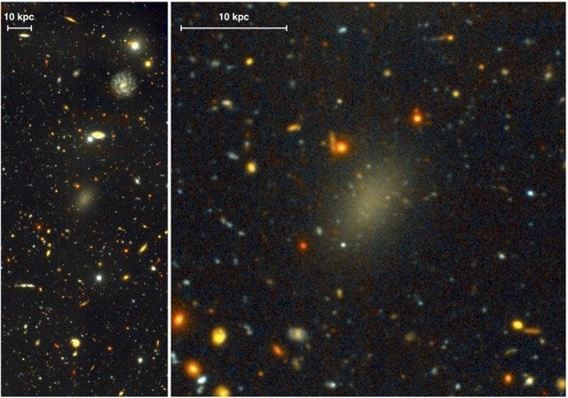 Galaxia Libélula 44