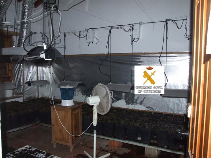 Marihuana en Arriate