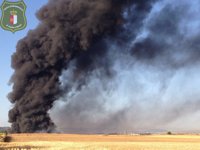 La Unidad Militar de Emergencias ya se encuentra trabajando en Chiloeches (Guadalajara)