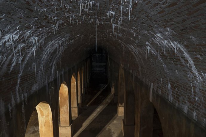 EXPOSICIÓN ARSTUSIA DE JOAN FONTCUBERTA