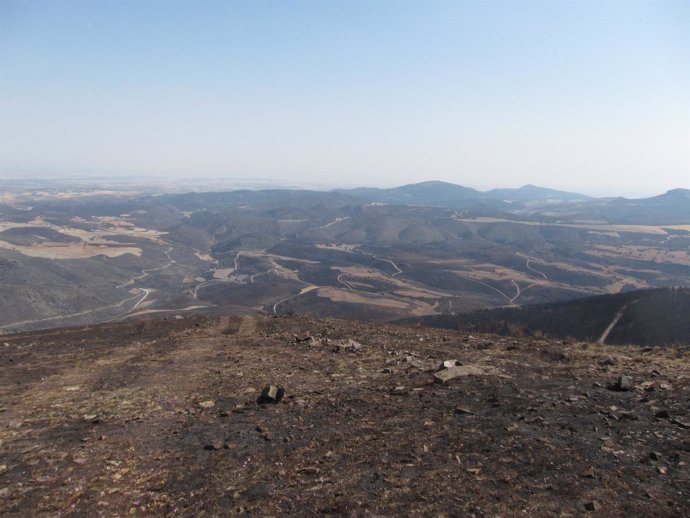 Monte afectado por un incendio en 2012 en Talamantes (Zaragoza)