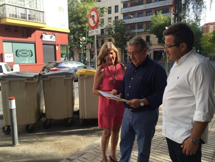 Zoido con los contenedores en el centro de Sevilla