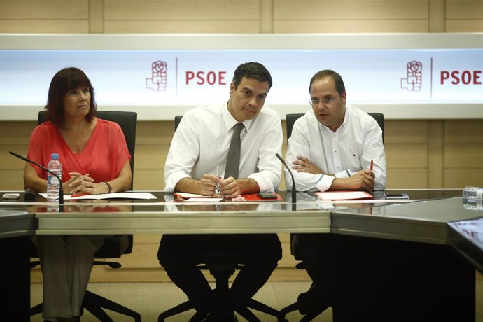 Pedro Sánchez preside la recunión de la Ejecutiva Federal del PSOE