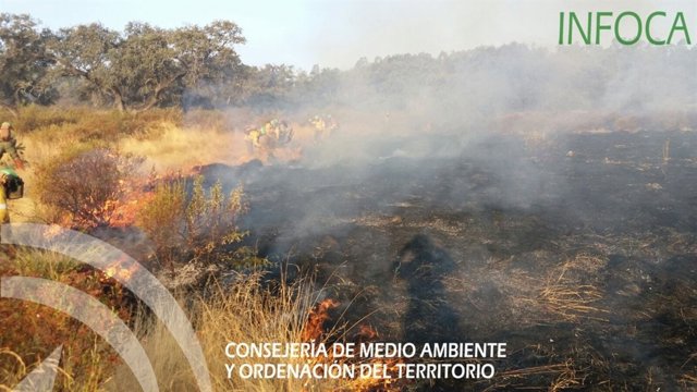 Incendio El Castillo de las Guardas