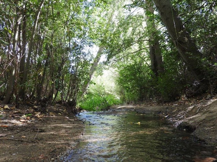 Estado del humedal del Entorno Meaques