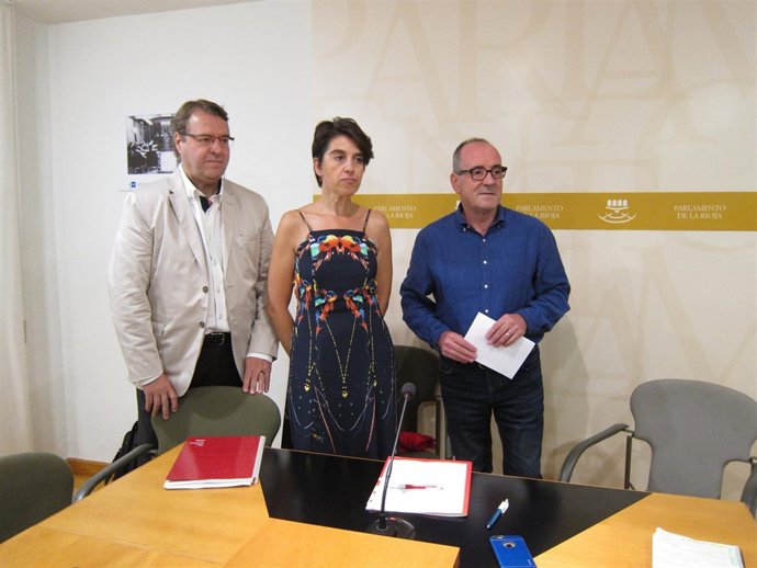 Oposición analiza contrato y gratuidad parking del San Pedro