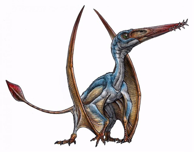 Nueva especie de pterosaurio descubierta en Argentina
