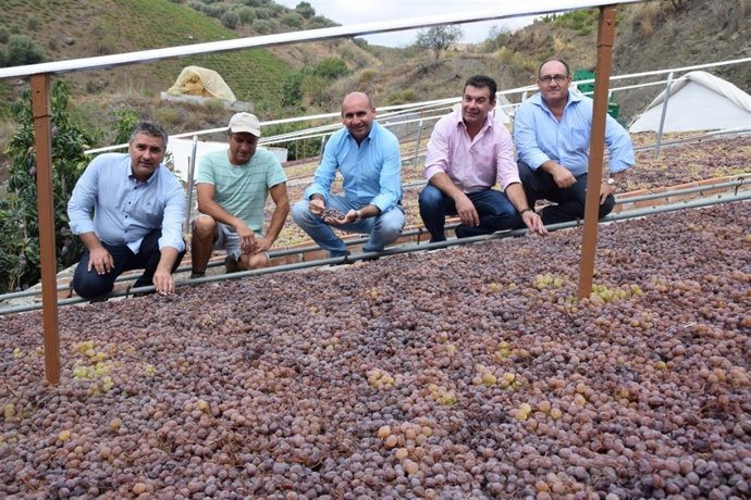  Francisco Conejo El Borge