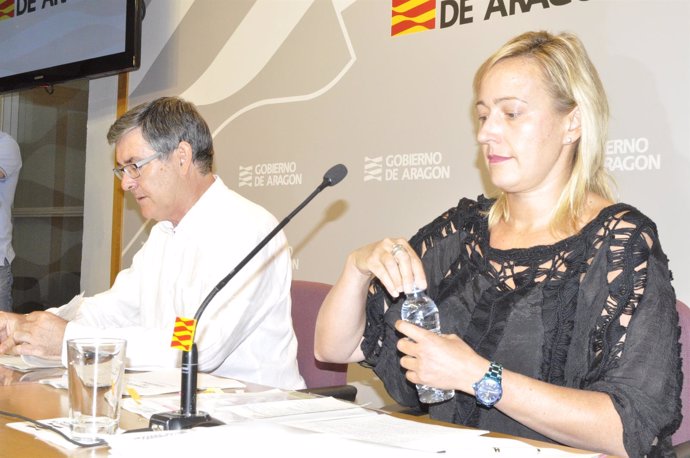 La consejera de Economía, Marta Gastón, y el portavoz, Vicente Guillén.
