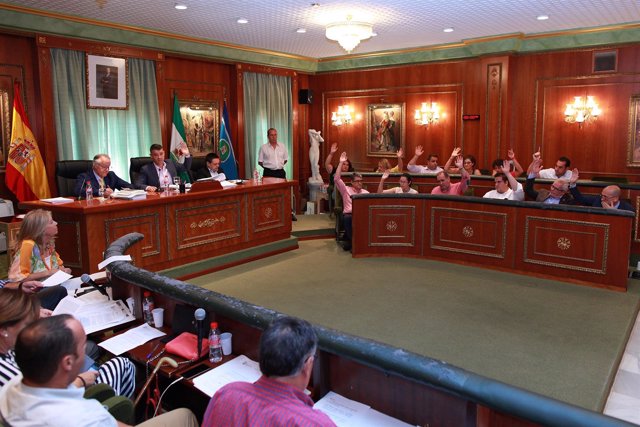 Pleno del Ayuntamiento de Marbella 