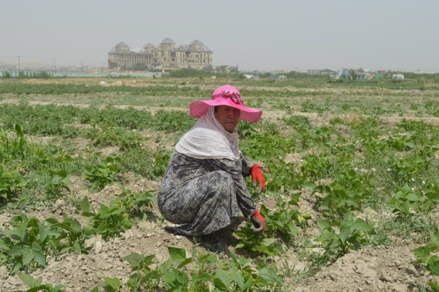 Granja orgánica gestionada por mujeres