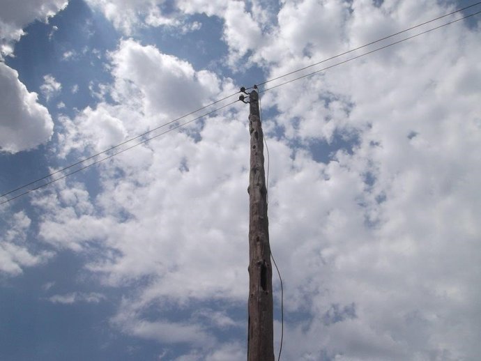 Renovación red eléctrica de Endesa