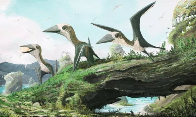 Recreación de la nueva especie de pterosaurio