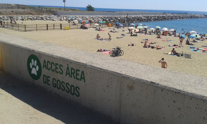 Playa para perros en Barcelona
