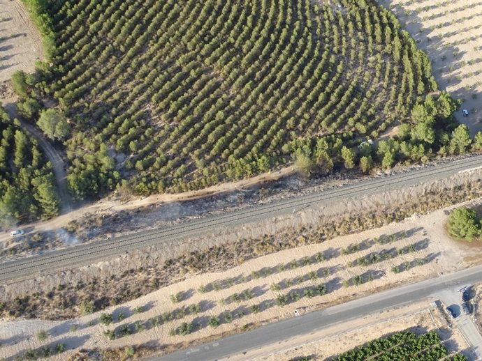 Imagen del incendio forestal en Calasparra
