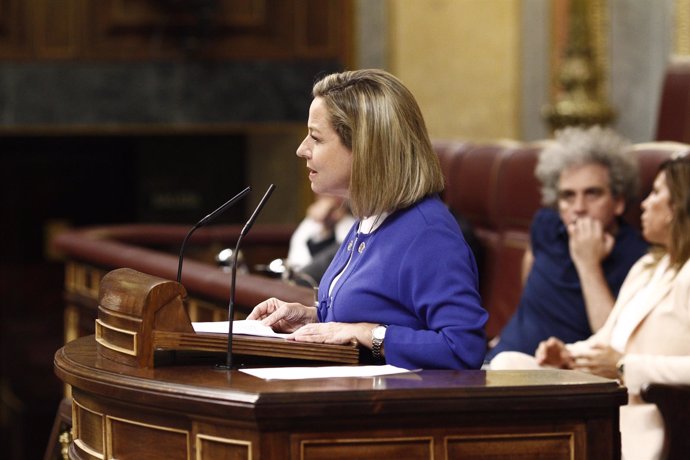 Ana Oramas (CC) en el discurso de investidura de Rajoy