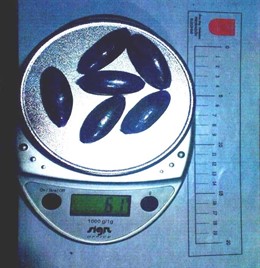 Droga incautada en Bera.