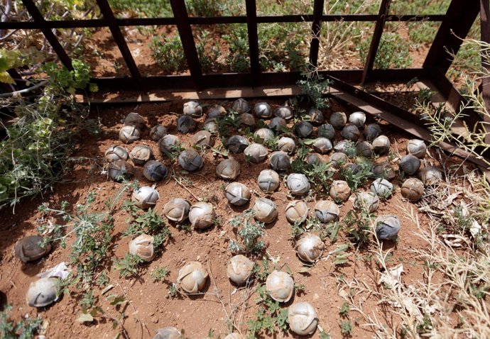 Bombas de racimo encontradas en Idlib