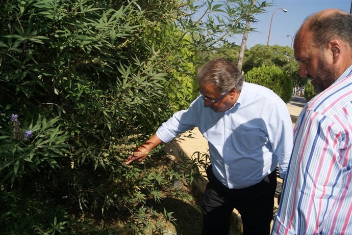 Zoido y Curro Pérez.