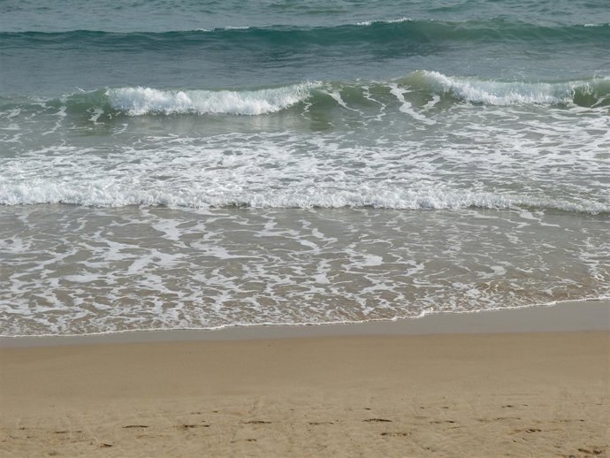 Playa, costa, litoral