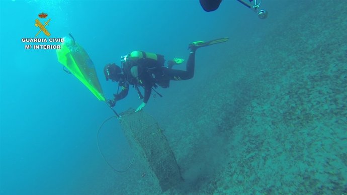 Intervenidas dos nasas ilegales en Gran Canaria