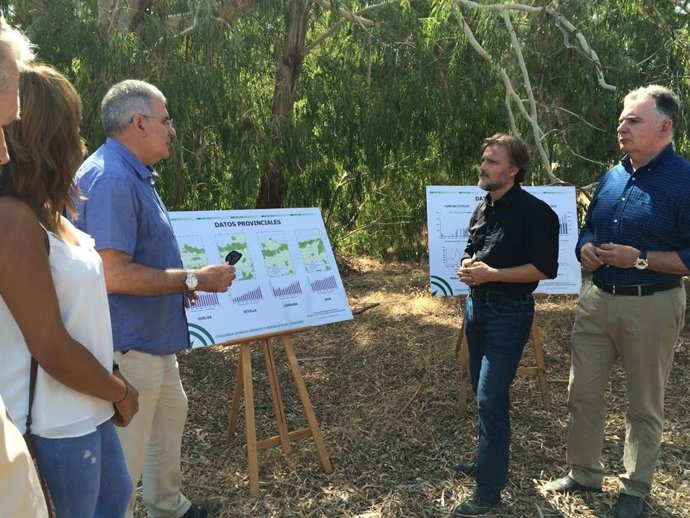 Presentación de los resultados del Plan de Conservación del Buitre Negro.