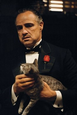 Marlon Brando En El Padrino