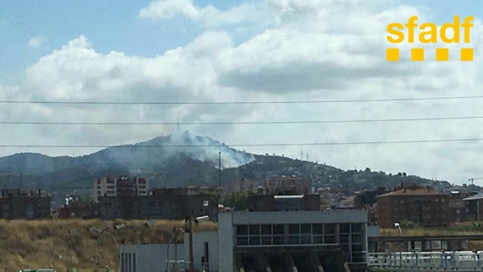 Incendio forestal en Esplugues de Llobregat