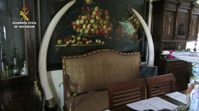 Varios de los objetos incautados