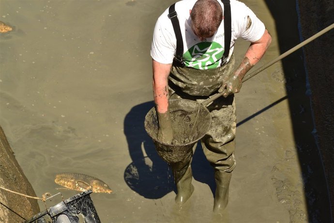 Charca de María Moya