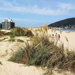 Avance Limpieza De Cauces, Arroyos Y