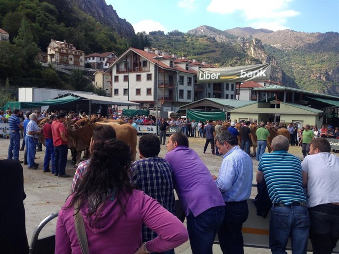 Somiedo Celebra El XXV Certamen Nacional De Rebaños De Asturiana De Los Valles