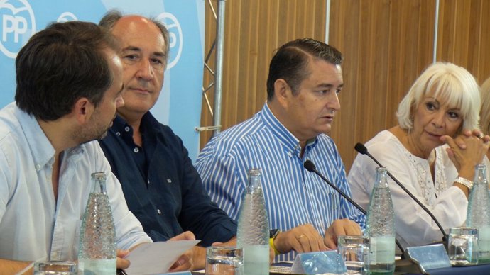 Reunión de la Junta Directiva del PP de Cádiz