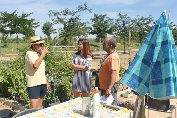 [NOTA DE PRENSA] El Olvido En Los Huertos Sociales Del Parque Vega
