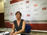 PSOE C-LM defiende un "Gobierno de cambio" liderado por Pedro Sánchez y pide "trabajo y esfuerzo" a C's y Podemos