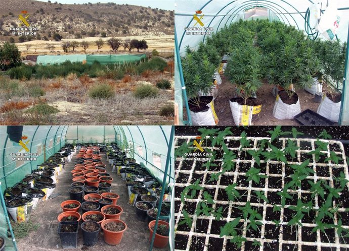 Imagen de las explotaciones intervenidas