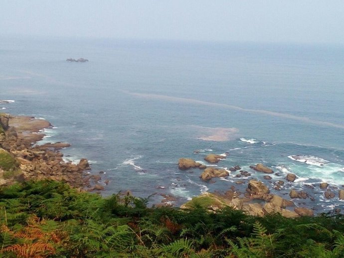 Contaminación en la costa