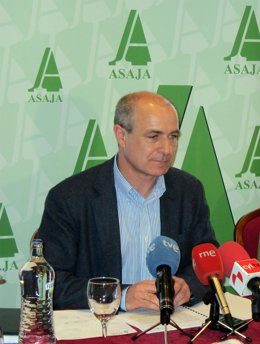 José Antonio Turrado