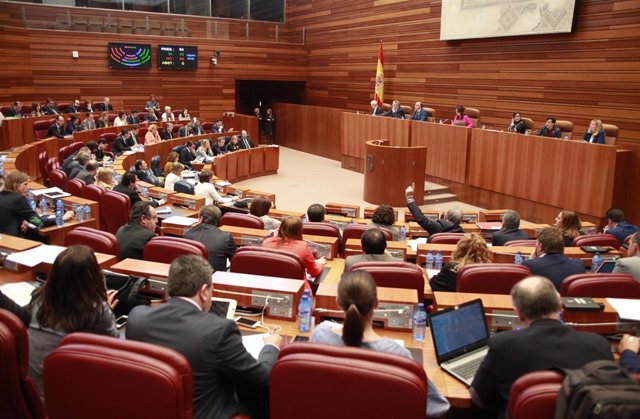 PLENO CORTES CASTILLA Y LEON