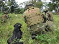 Santos anuncia un plan para evitar que otros grupos tomen los territorios de las FARC