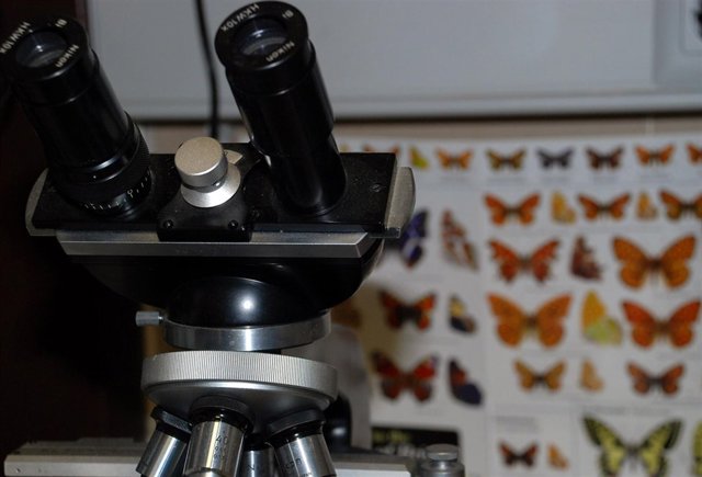 Laboratorio UCLM, Investigación