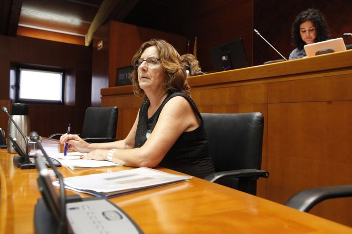 Consejera de Ciudadanía y Derechos Sociales de Aragón, María Victoria Broto 